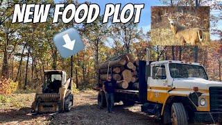 LOGGING A FOOD PLOT IN TIME FOR HUNTING SEASON