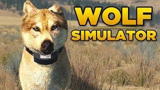 I became a wolf and everything hates me - Wolf Simulator | Wolf Quest | Ep 1