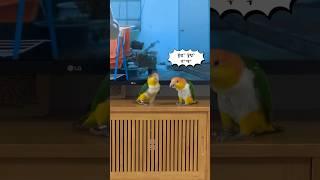 남친 길들이는 방법!