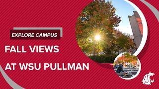 Fall Views at WSU Pullman