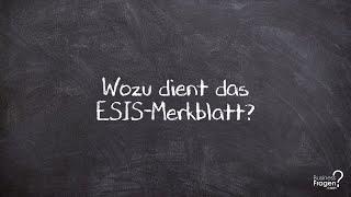 ESIS - Wozu dient das ESIS-Merkblatt (EUROPÄISCHES STANDARDISIERTES MERKBLATT)?