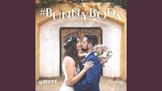 Mix Matrimonio (Bunny Boda)