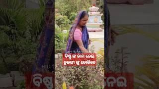 #divine #tulsi #lord #bishnu #shorts #youtubeshorts #viral #trending