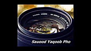 Sauood Yaqoob Photography