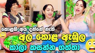 අම්මා හදපු අල කොළ ඇඹුල කලා කසන්න ගත්තා | Piumi srinayaka 2024 | alakola ambula Traditional Sri Lanka