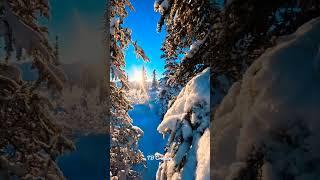 Captured this moment during our last big snowfall of the year | YouTube Short | #shorts | #reels