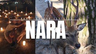 Nara Daytrip | Lantern Festival, Deer Park and Great Buddha