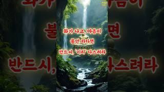 불안하거나 화가 날 때, 마음 다스리는 방법 #부처님말씀 #부처님의가르침