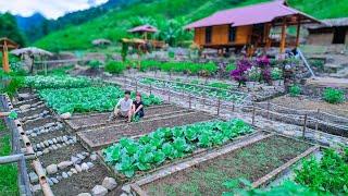 Sustainable LIVING Thrives Off The Grid! Grow crops, harvest to sell, Garden, cook delicious dishes