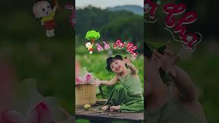 Chú Cuội Ngồi  #nhacthieunhi #funny #shorts