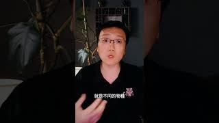 你可敢信？假如恐龍沒滅絕，今天的世界可能是這樣的！| 雅桑了嗎