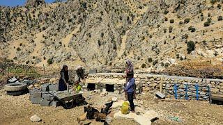 The nomadic family of Kuhgol built a stone house for their chickens | Nomadic lifestyle of Iran