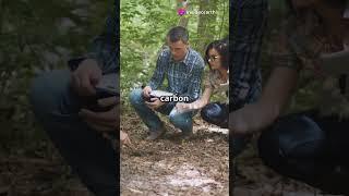 The Secrets of Borana Woodland Biomass #sciencefather  #researcher  #biomass
