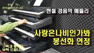 사랑은나비인가봐.봉선화연정 .현철/전자올겐 .검은나비/디스코 경음악.트롯.트로트.음악영상제작.