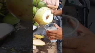 Cutting a Coconut with Laser Precision #shorts #streetfood #viral #coconut #asmr