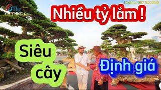 Cùng Hoàng Đức - Nhà to định giá một số Tác phẩm trong sân chơi Festival