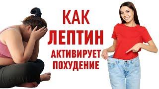 Лептин – гормон худобы и как его активировать