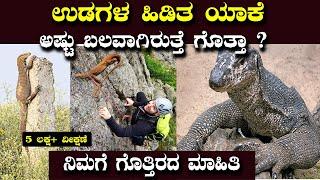 ಉಡದ ಬಗ್ಗೆ ಯಾರು ನಿಮಗೆ ಇದನ್ನ ಹೇಳಿರಲ್ಲ | Facts about Monitor Lizard | Kiran M | Chethana Academy