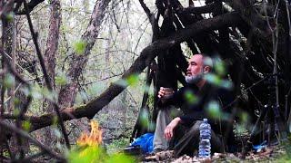 A single hike in the forest. Fish extraction. Building a shelter.