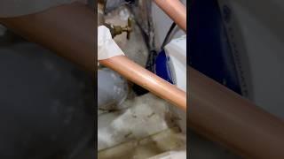 Leaking new copper pipe! SHOCKING! #fail #asmr #howto #diy #youtubeshorts #subscribe #fails #foryou