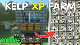 NEW KELP XP Farm in Minecraft Bedrock 1.21‼️