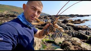 Coastal Foraging for Lobsters and Crabs with Beach Fire Cooking | The Fish Locker