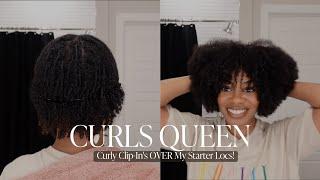 Styling Curly Clip-In's OVER My Starter Locs! | Curls Queen Kinky Coily