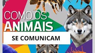 Você sabia que os animais conversam?