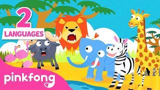 Hakuna Matata in Hindi & English | हकूना मटाटा | Animal Songs | Hindi Rhymes for kids | Pinkfong