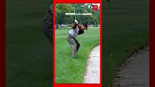 Remembering Tiger Woods's Fantastic Shot in 1999 #golf #shorts