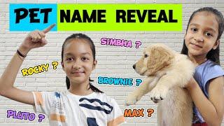 PET NAME REVEAL   |  Aayu Vanu Ka Pet | Pet Lover | Family Vlog | Aayu and Vanu