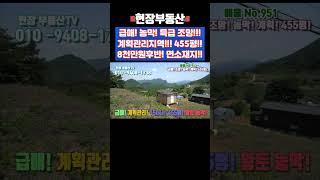 특급 조망 농막 전원주택부지 카페부지 455평 #급매 #주말농장 #농막 #조망 #남한강 #소백산 #사평리