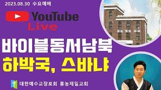 2023-08-30 설교 | 바이블동서남북- 하박국& 스바냐 | 손찬양 담임목사 | 홍농제일교회 LIVE STREAMING