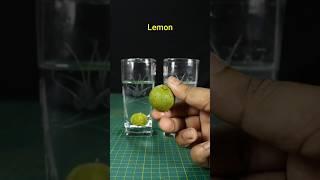 Lemon + Saltwater Experiment #trending #experiment #science #mreasymaker