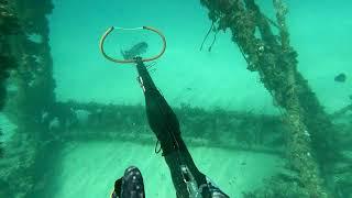 4K 2022 Miami Beach, Florida, USA Freediving Spearfishing