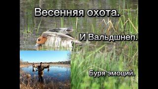 Весенняя охота.