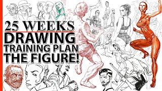 25 WEEK DRAWING TRAINING PLAN FIGURE