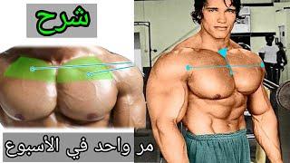 5 تمارين الصدر العلوية يجب على الجميع لعبها !! شرح كامل - Upper Chest