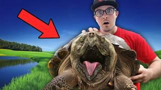 This Turtle Is Eating My Fish!