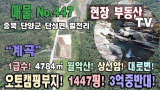 오토캠핑장부지 강추 매물 1급수 특급 계곡 상선암 주변 월악산 도락산 주변 조망 좋고 전면부 대로변 전면 계곡 충북 단양군 단성면 벌천리 토지 매매 단양부동산 단성부동산 대강부동산