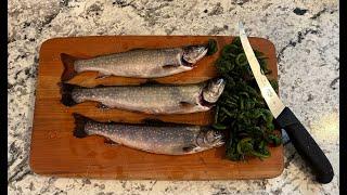 Brook Trout And Fiddleheads CATCH AND COOK | Spring Fishing and Foraging