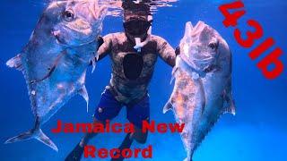 HISTORY Created Today Double Kill GIANT African Pampano Speared In Jamaica Record Breaking Stuff