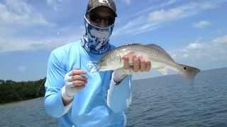 April Tampa Inshore Redfish Fishing Report with Capt Chris Camps