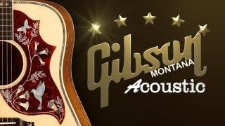 Max Guitar Store - Gibson Montana Acoustic part 1