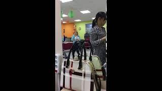 На открытии новой парикмахерской
