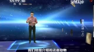 20140804 走近科学 隐形之谜（上）