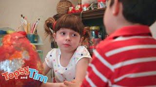 Dinosaur Eggs! | Topsy & Tim Compilation For Kids | WildBrain Zigzag