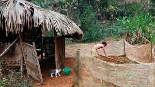 abandoned boy | Episode 47: Boy gardening to grow vegetables and harvest homegrown mushrooms