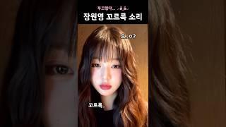 장원영 꼬르륵 소리