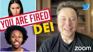 Elon Musk fires DEI employees in twitter meeting DUB